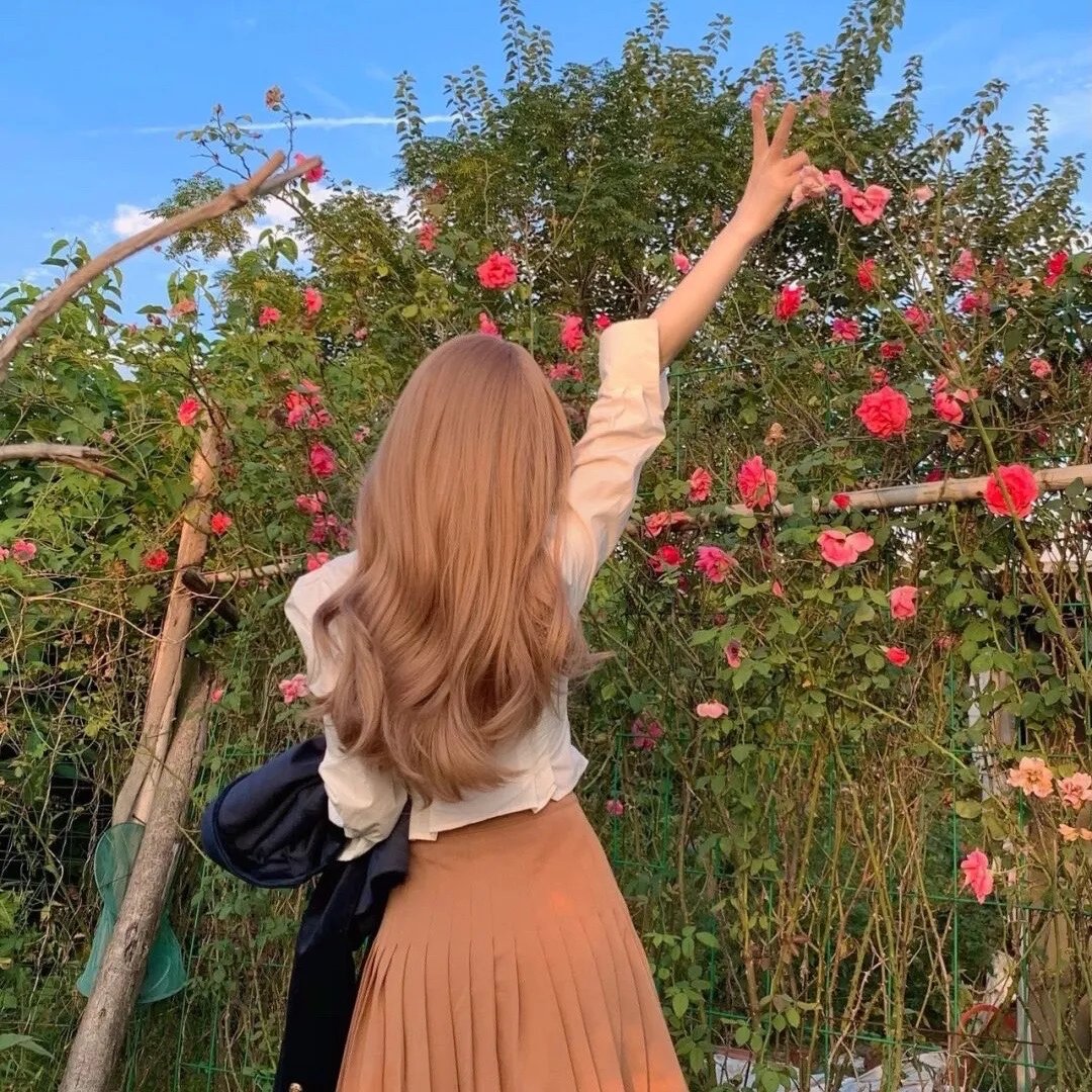 二龙湖浩哥之风云再起